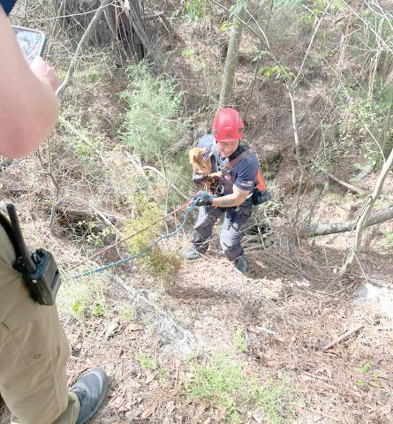 A Suwannee County firefighter rescues a small dog from a sinkhole last week. The dog had been missing for more than a week before it was located in the sinkhole. (COURTESY SUWANNEE COUNTY FIRE RESCUE)