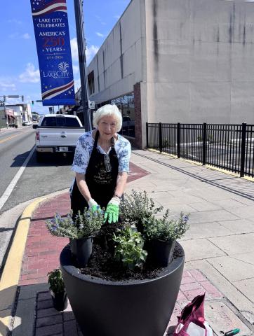 Jan Wheeler adds flowers to a planter along Marion Avenue for the Lake City Garden Club. Club members planted the new flowers, which will be red, white and blue, ahead of the country’s 250th anniversary celebration. (COURTESY)