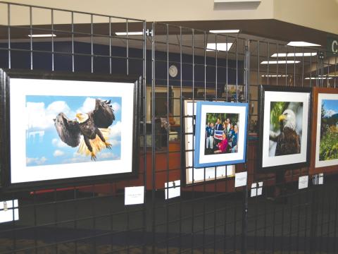 A collection of 34 photographs from 14 different photographers in the Branford Camera Club will remain on display at the Suwannee Regional Library through July 31. (COURTESY)
