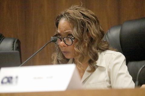 Live Oak City Council President Vanessa Robinson said with software upgrades eyed across city departments, another discussion should be had on what tools to use to make sure they are all secure. (JAMIE WACHTER/Lake City Reporter)