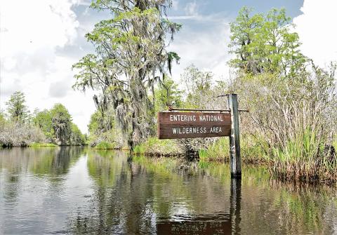 The Okefenokee National Wildlife Refuge, the swamp in South Georgia and North Florida that spawns the Suwannee River, has been named a UNESCO World Heritage site. (Larry Woodward/U.S. Fish and Wildlife Service)