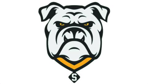 Suwannee Bulldogs