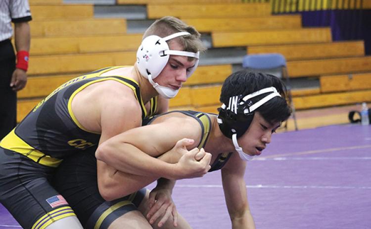 Columbia’s Alex McGuigan (left) wrestles in last year’s Tiger Duals. (FILE)