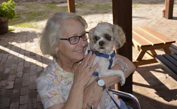 Beverley Langer and Daisy, a shih tzu, relax for a moment while other dogs run wild during a canine social event at Halpatter Brewing Company last February. (FILE)