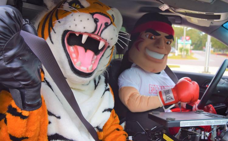 Mascots for Columbia High and Fort White High prepare for the “Battle of the Belts,” a friendly competition organized by FDOT. For its size, Columbia is the worst county in the state for seat-belt use, the agency says. (COURTESY)