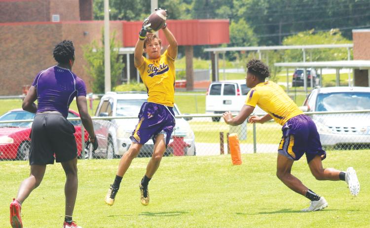 Columbia receiver Jace Hoskey makes a catch during practice last summer with Shyheim Brown (left) and Dante Brown (right) in coverage. (FILE)