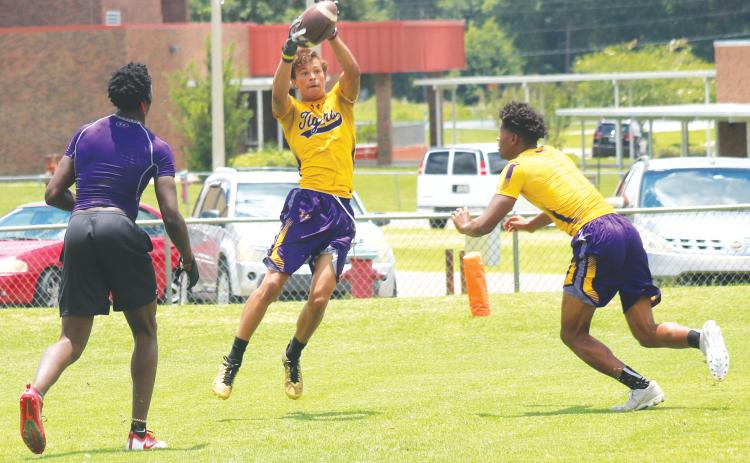 Columbia receiver Jace Hoskey catches a pass during conditioning last summer. (FILE)