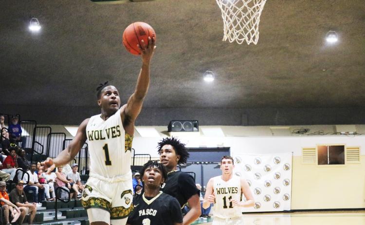 FGC guard Josh Cross scores a layup against Pasco-Hernando this past season. (FILE)