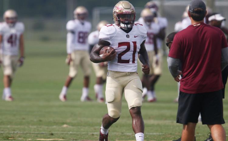 Khalan Laborn never made a five-star impact at Florida State. (TAMPA BAY TIMES/TNS)