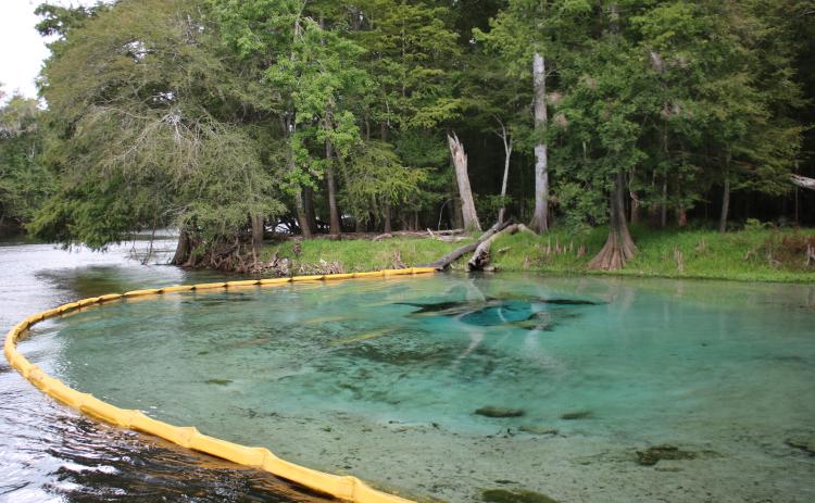 Rum Island Park is reopening Monday after being closed nearly a year for a $300,000 riverbank restoration project. (FILE)