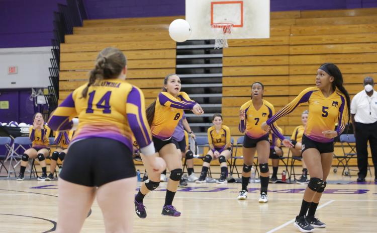 Taiya Driggers (8) sets up a shot for a teammate during Columbia’s Purple & Gold scrimmage Friday night. (BRENT KUYKENDALL/Lake City Reporter)