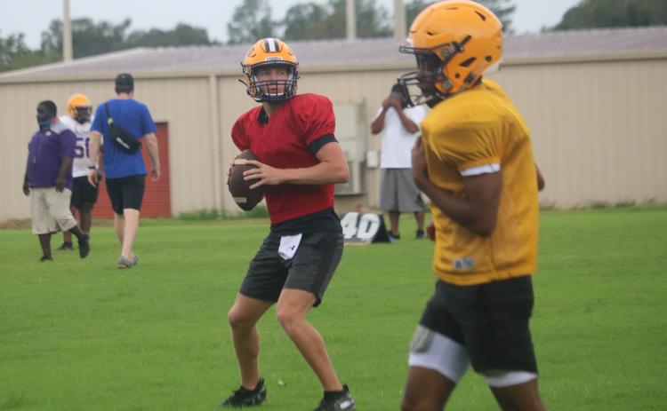 Columbia quarterback Kade Jackson drops back to pass during practice on Monday. Jackson is competing for the starting quarterback position with Ty Wehinger. (JORDAN KROEGER/Lake City Reporter)