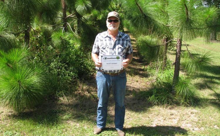 David Culpepper was honored by the Florida Forest Service for his management of 175 acres of forest land in Hamilton County. (COURTESY)