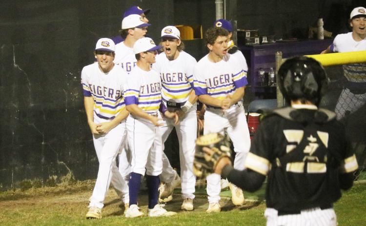 Columbia players celebrate in the dugout after Mason Gray’s go-ahead 2-RBI triple in the sixth inning against Buchholz on Tuesday night. (JORDAN KROEGER/Lake City Reporter)
