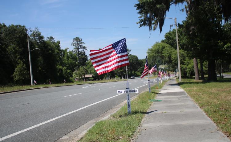 TONY BRITT/Lake City Reporter A row of flags — just several out of 114 — stand alongside State Road 47. Jack and Ann Hampton, along with a handful of volunteers, put them up on Saturday. (TONY BRITT/Lake City Reporter)