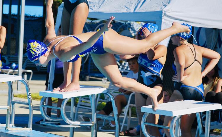 Columbia swimmer Abby Schuler leaps off of the diving board as she competes in the 100 freestyle during Thursday’s meet against Saint Francis Catholic. (COURTESY)
