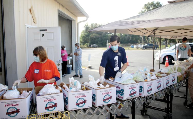 Volunteers put food into Thanksgiving baskets Thursday morning at Catholic Charities. More than 90 volunteers helped distribute 565 Thanksgiving baskets to local families. (TONY BRITT/Lake City Reporter)