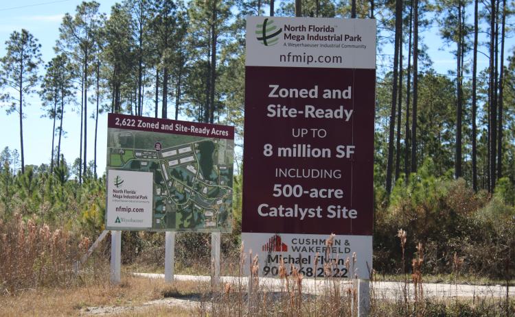 County Manager David Kraus said addressing infrastructure needs at the North Florida Mega industrial Park would likely draw more interest from projects looking to relocate to Columbia County. (FILE)