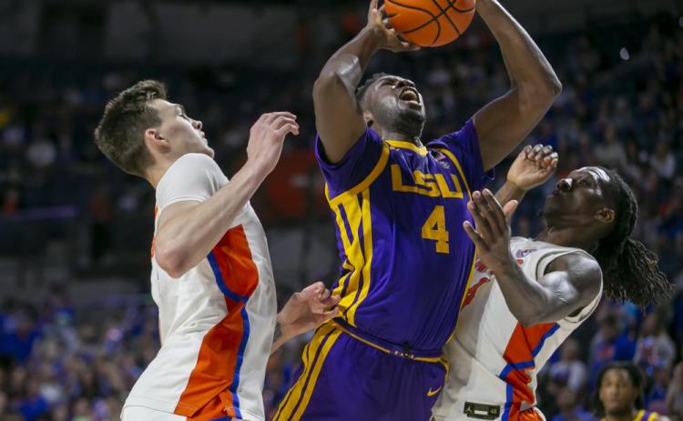 LSU forward Darius Days drives for the basket between Florida forward Colin Castleton, left, and Florida forward Anthony Duruji during Wednesday's game in Gainesville. (ALAN YOUNGBLOOD/Associated Press)