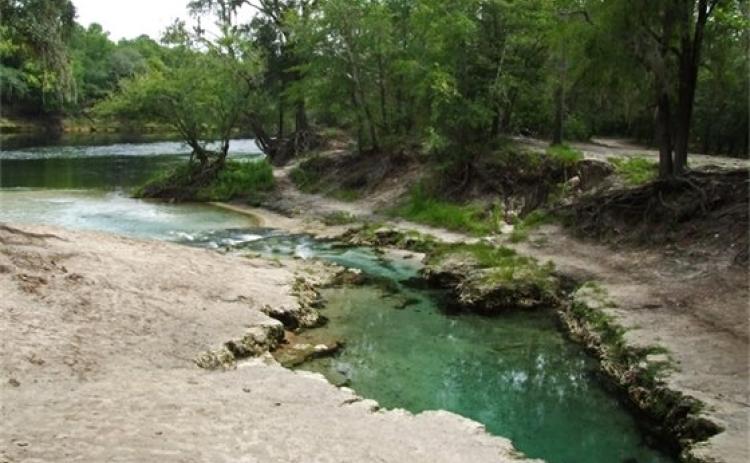 Telford Spring, shown here, will be sold to the Suwannee River Water Management District. (COURTESY)