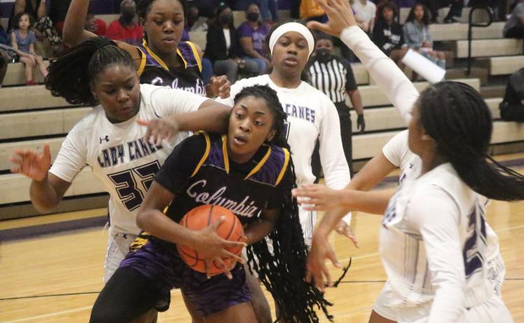 Columbia guard Na’Haviya Paxton battles Gainesville forward Imari Keenon for possession Friday night in the District 3-6A Championship Game on Friday night. (JORDAN KROEGER/Lake City Reporter)