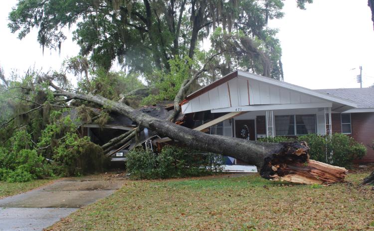 A limb crashed through a home at 471 Defender Street Wednesday afternoon when a rainstorm that was bearing high winds blew through the area. (TONY BRITT/Lake City Reporter)
