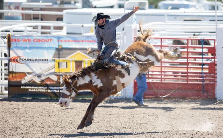 Riding high in the saddle, a cowboy masters his form during a saddle bronc ride at the Florida Gateway Pro Rodeo Sunday afternoon. (RAY CARPENTER/Special to the Reporter)