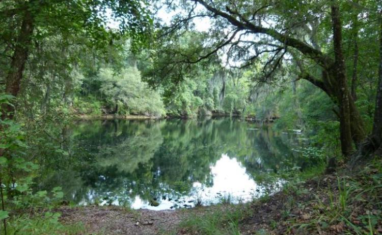 Gov. Ron DeSantis and his Cabinet plan on purchasing 160 acres in River Rise Preserve State Park. (COURTESY)