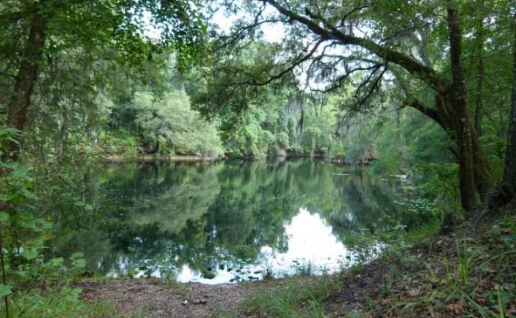 The state is acquiring 160 acres within the River Rise Preserve State Park in Columbia County to shield it from potential development. (COURTESY)