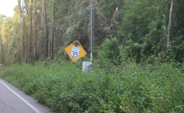 Columbia County officials will hold a workshop the first week of August to discuss options for the future of mowing services on public roadways, such as here on Country Club Road. (TONY BRITT/Lake City Reporter)