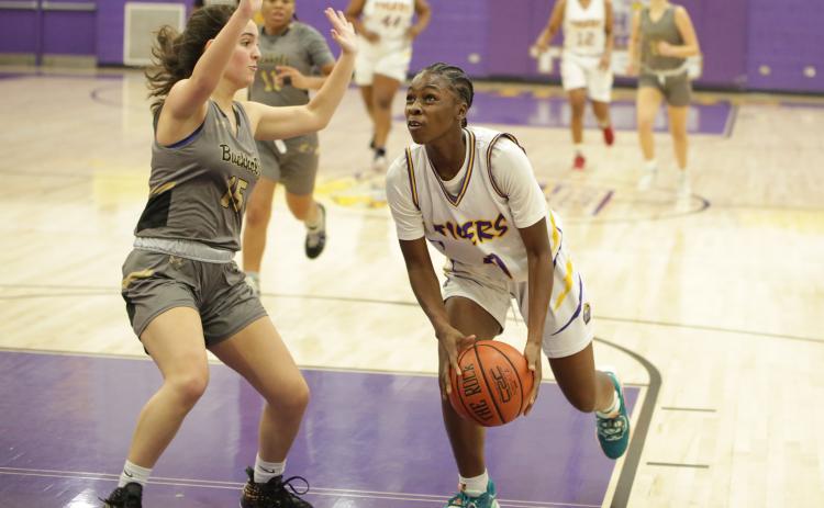 Columbia guard Ayesha Broxey drives to the basket as Buchholz guard Carly Fischer defends on Tuesday night. (BRENT KUYKENDALL/Lake City Reporter)
