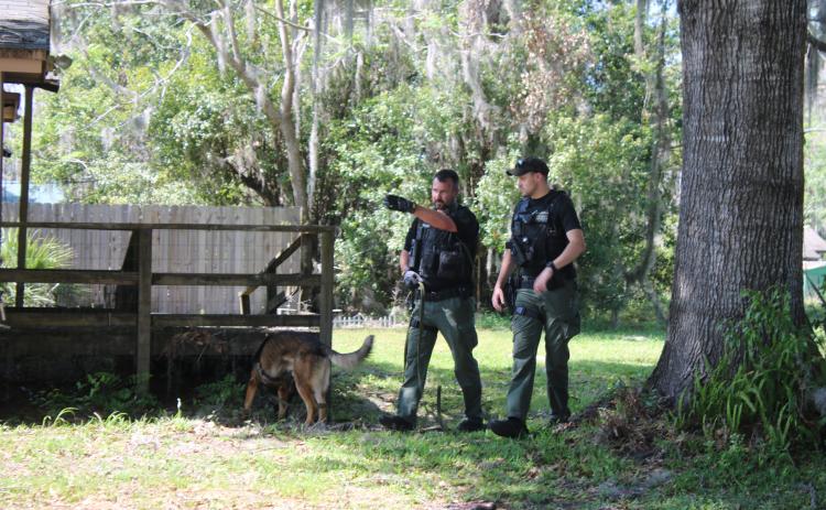 Members of the Columbia County Sheriff’s Office K-9 team search a residence near SE McCray Avenue and SE Paxton Place on Monday afternoon as they were looking for a shooting suspect. (TONY BRITT/Lake City Reporter)