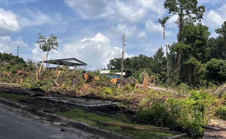 Trees were cleared behind the Jared Allison Aquatic Complex this week to make way for the installation of solar panels to heat the pool. (JAMIE WACHTER/Lake City Reporter)