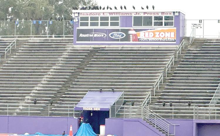 Vultures line the top of the press box at Tiger Stadium. Black vultures and turkey vultures have become a nuisance at the stadium since Columbia High’s track was resurfaced late last year. (COURTESY)