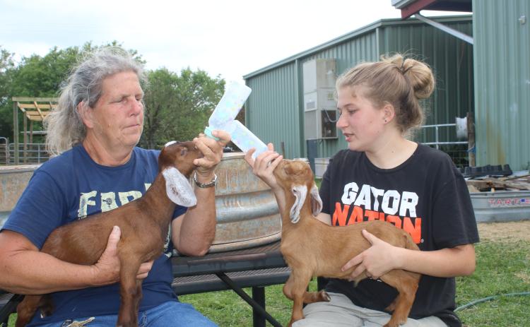 Patricia Starnes (left), the Columbia High School FFA advisor, holds and feeds Tres, as Amilliya Schneider, 17, holds and feeds Dos. Starnes and Schneider were feeding the three-week-old kids, while preparing for the inaugural Kids Feeding Kids Ag. Expo where a petting zoo will be featured. (TONY BRITT/Lake City Reporter)