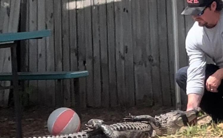 Cameron McCauley, a nuisance alligator trapper, tapes an alligator’s mouth shut after it showed up on the grounds at Lollipop Children Center Tuesday morning. (COURTESY)