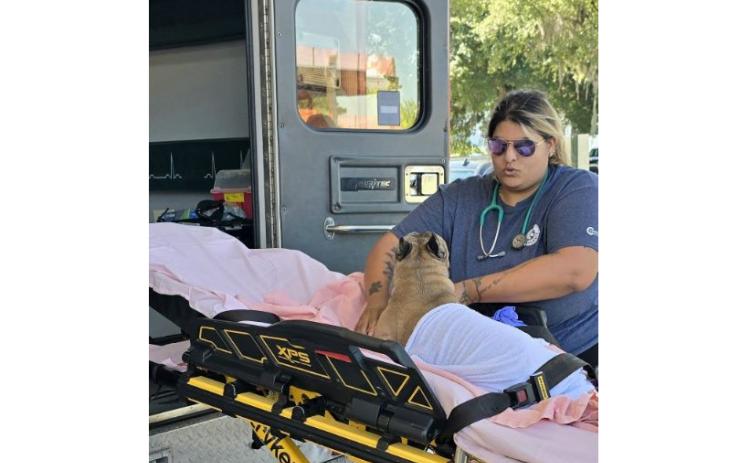 Century Ambulance paramedic Gyse Colon helps take care of a dog, which was in distress Friday after its owner was in a crash on Interstate 75. Colon’s quick thinking led to the dog being rushed to Addison’s Animal Hospital, where it went into emergency surgery. (COURTESY)