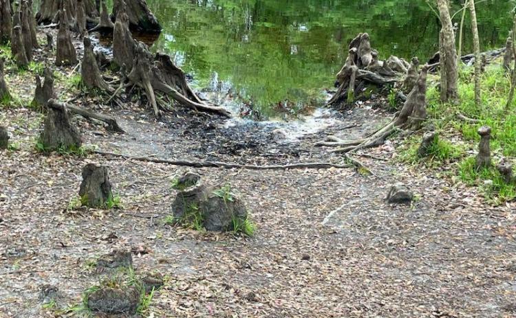 Vegetation is worn down along the banks due to the excessive use at the park. (COURTESY)