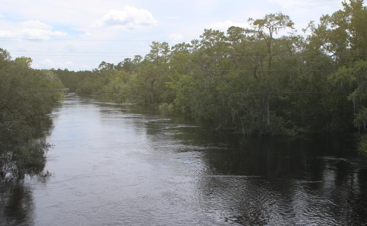 The Suwannee River is flooding from its banks at White Springs after Hurricane Debby dumped up to 16 inches of rain in the area. The river has risen 20 feet at White Springs since last weekend. (TONY BRITT/Lake City Reporter)