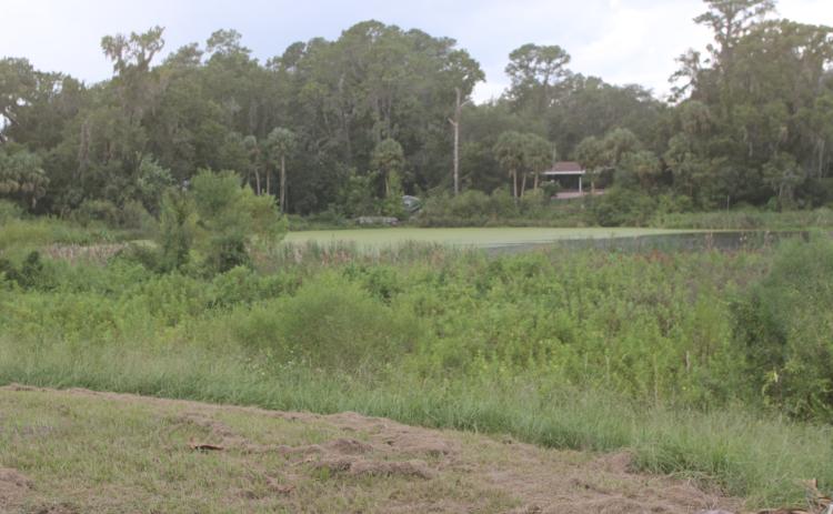 The City of Lake City is seeking state grant funding for several projects, including the restoration of Gwen Lake. (TONY BRITT/Lake City Reporter)