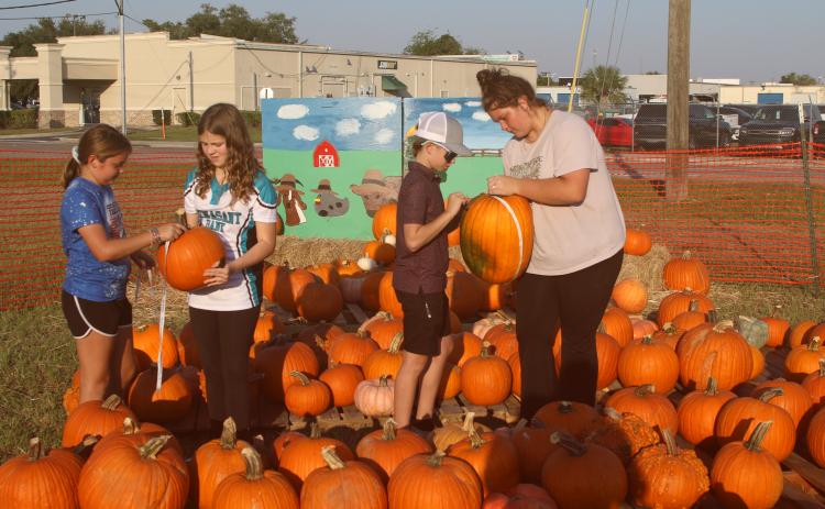 Emarie Park (from left), 10, Maggie Breeden, 13, Walker Park, 10 and Chloey Bryant measure pumpkins at the Columbia FFA pumpkin patch. Around 1,600 pumpkins were brought to the patch on Saturday where FFA students are selling them as a fundraiser. (TONY BRITT/Lake City Reporter)