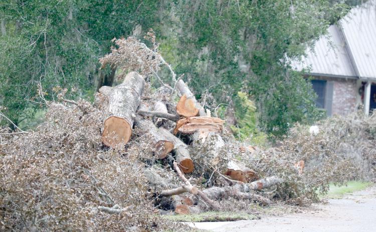 Columbia County Commissioners met Thursday to discuss imposing fines and other penalties against contractors using the county’s rights-of-way to dispose of cleared debris following Hurricane Helene. (JAMIE WACHTER/Lake City Reporter)