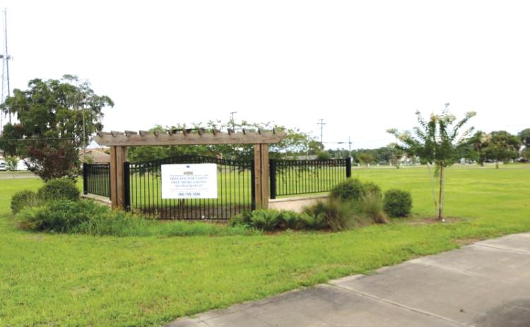 A parcel of property near the intersection of Franklin Street and Marion Avenue could be used as the site of a new city hall. The land was originally donated for that purpose before the LSHA requested it back. (FILE)