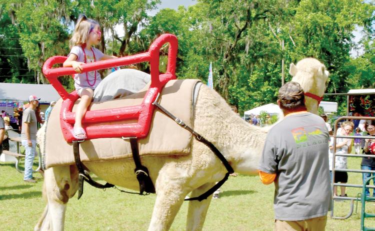 Boris the camel gives a child a ride at the 2023 Wellborn Blueberry Festival. Boris is among the attractions expected for Saturday’s Fall Festival in Wellborn. (FILE)
