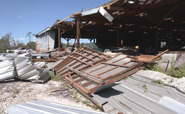Rural Florida, including this shed in Madison County, sustained heavy damage in September’s Hurricane Helene. (MIKE EXLINE/News Service of Florida)