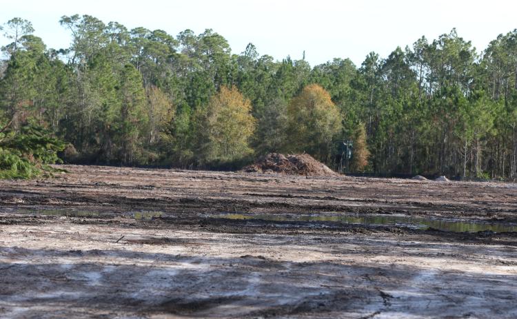 Advanced Project Solutions is clearing 22 acres at the North Florida Mega Industrial Park for AgroLiquid, the first tenant at the park east of Lake City. (JAMIE WACHTER/Lake City Reporter)