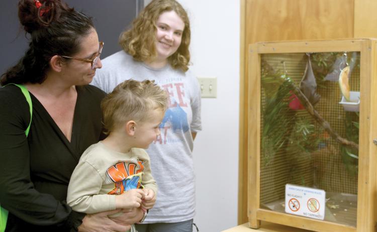 Michelle Rowold (from left) holds Donati Rowold, 3, both of Fort White, as Caroline Madden of the Lubee Bat Conservancy provides information about the bat in the enclosure during a community program at the Columbia County Public Library on Monday afternoon. (TONY BRITT/Lake City Reporter)