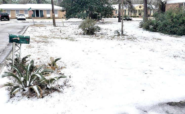 Snow fell in Hamilton County, including Jasper, during the winter storm Tuesday night. (JASON WILKINSON/Lake City Reporter)