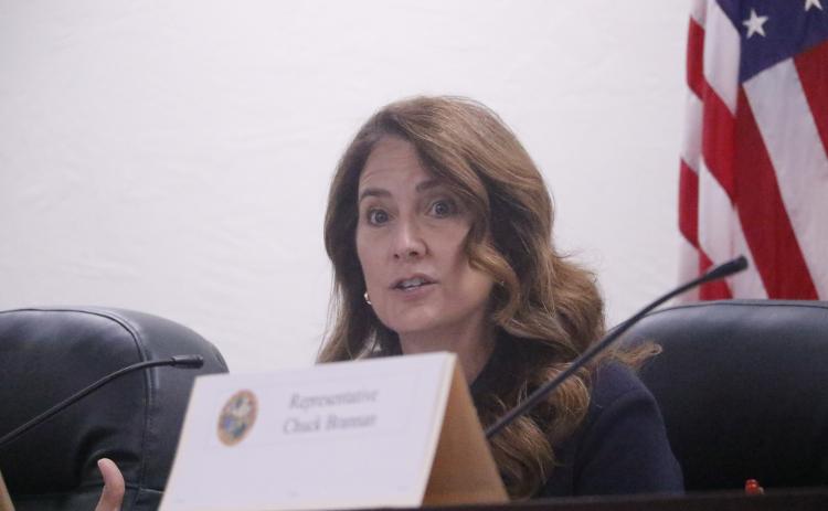 Sen. Jennifer Bradley said she wants to see population thresholds increased when it comes to the state designating which counties are rural. (JAMIE WACHTER/Lake City Reporter)