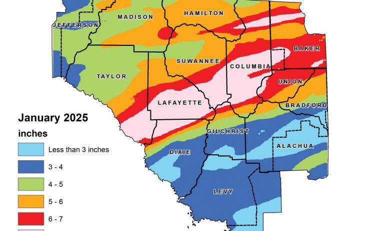 January was wetter than normal in North Florida, according to the Suwannee River Water Management District. (COURTESY)